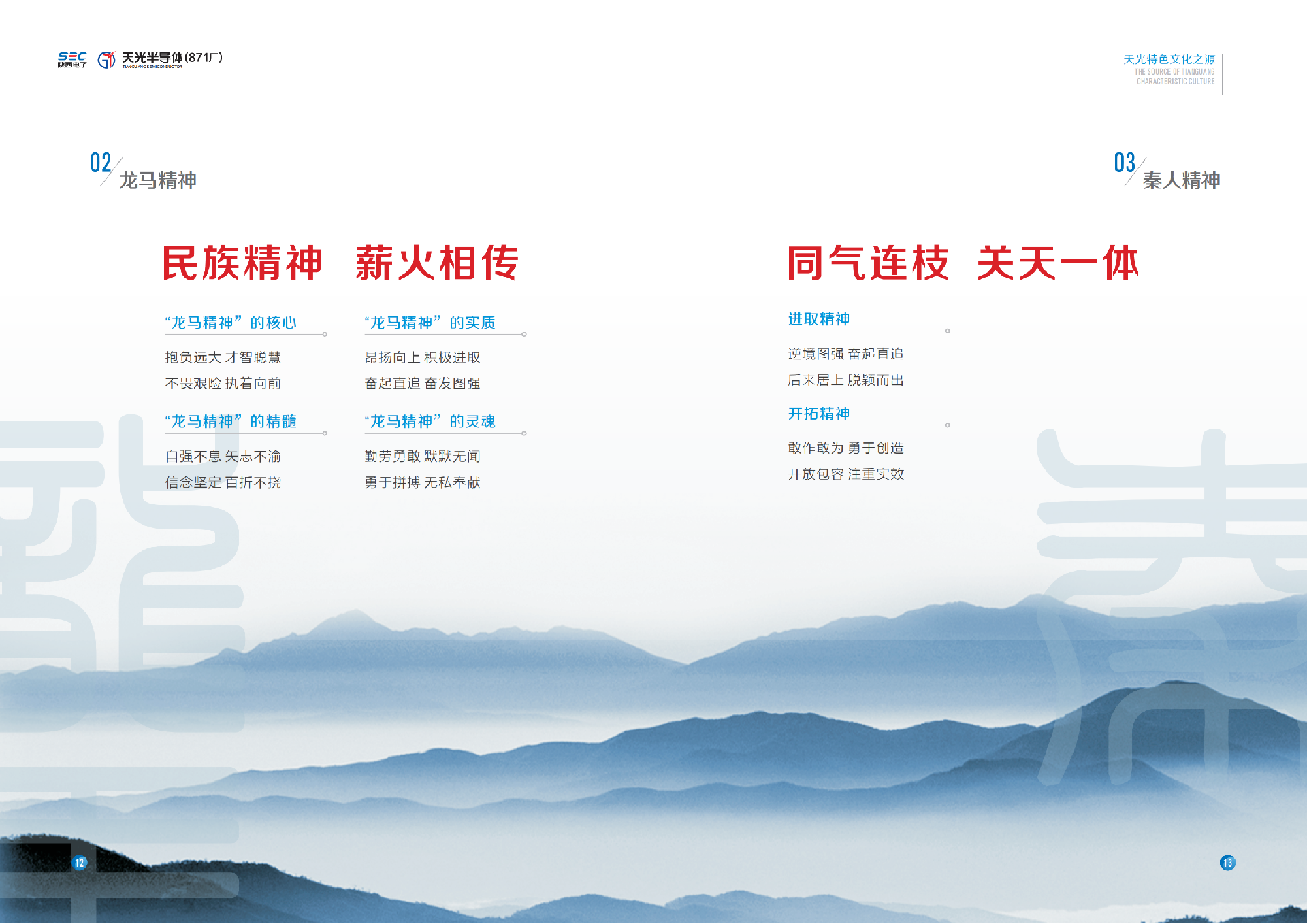天光半导体企业文化手册12.26_12.png
