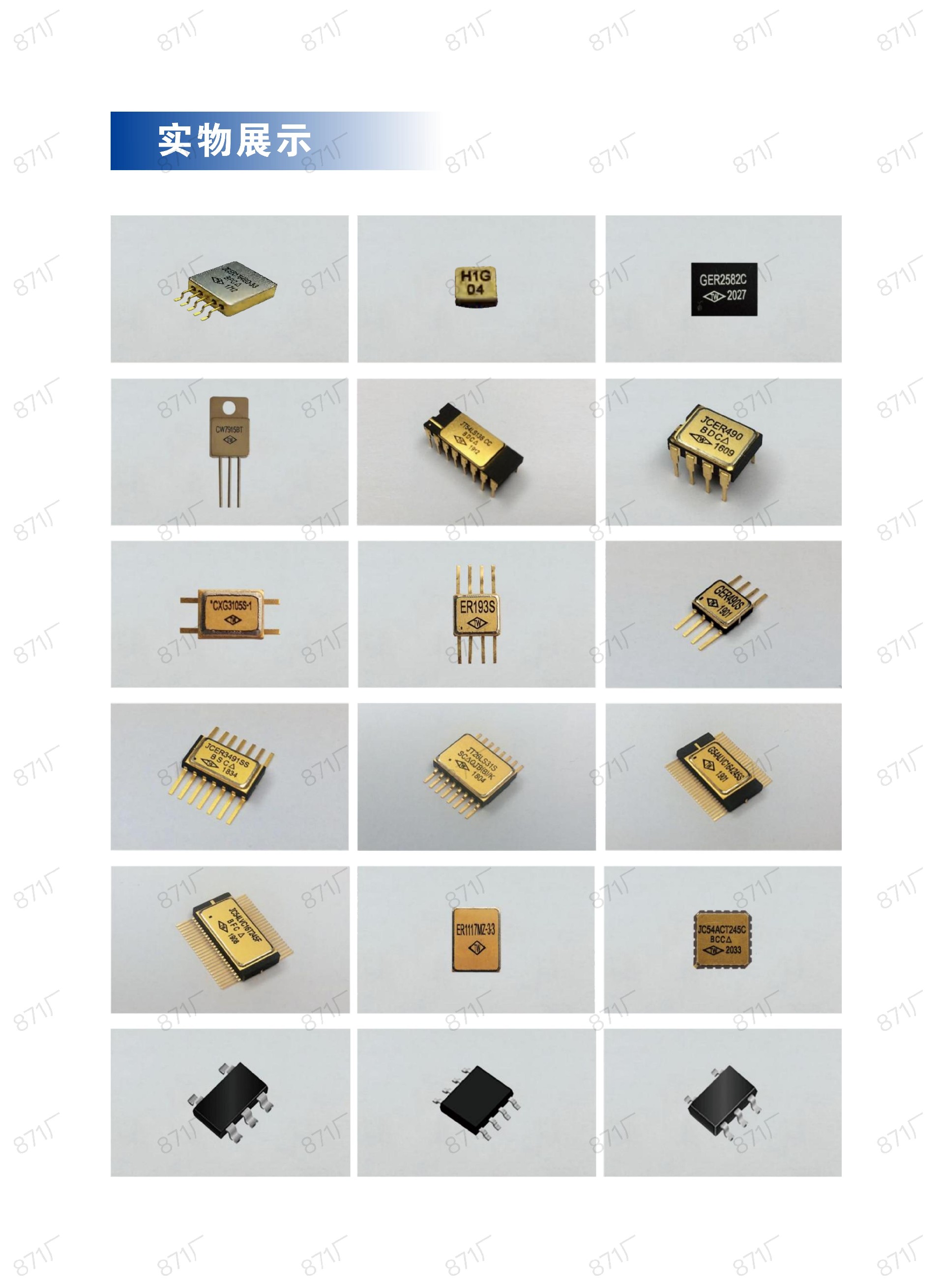 871厂2024版集成电路国产优选目录_72.jpg