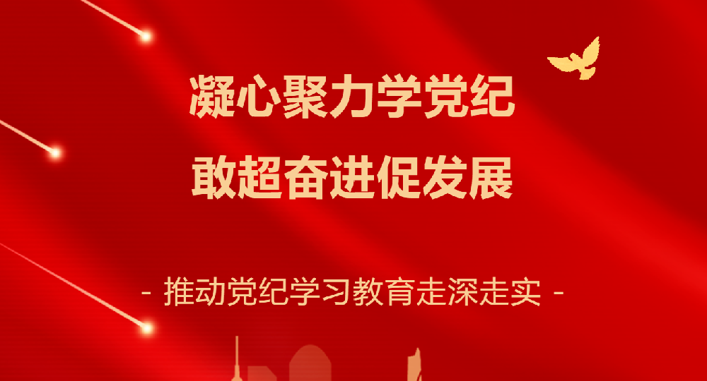 开展“凝心聚力学党纪 敢超奋进促发展”党纪学习教育警示研学活动